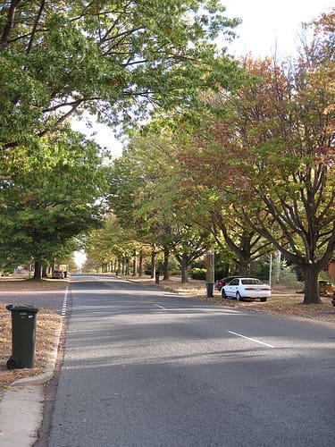 Canberra suburban street in early autumn. (Source: Climexus via Flickr)